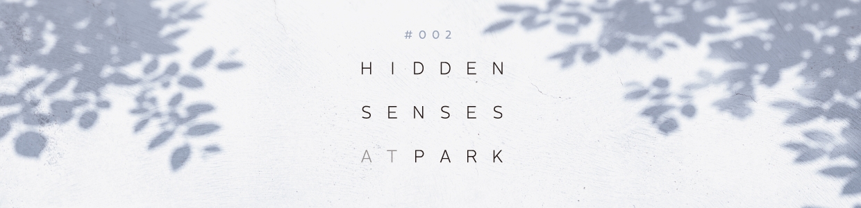 #002 HIDDEN SENSES AT PARK