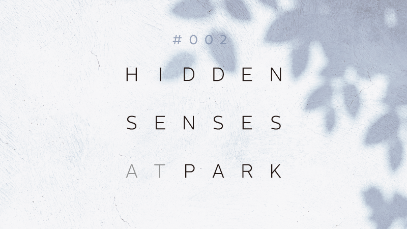 ”#002 HIDDEN SENSES AT PARK”announcement visual