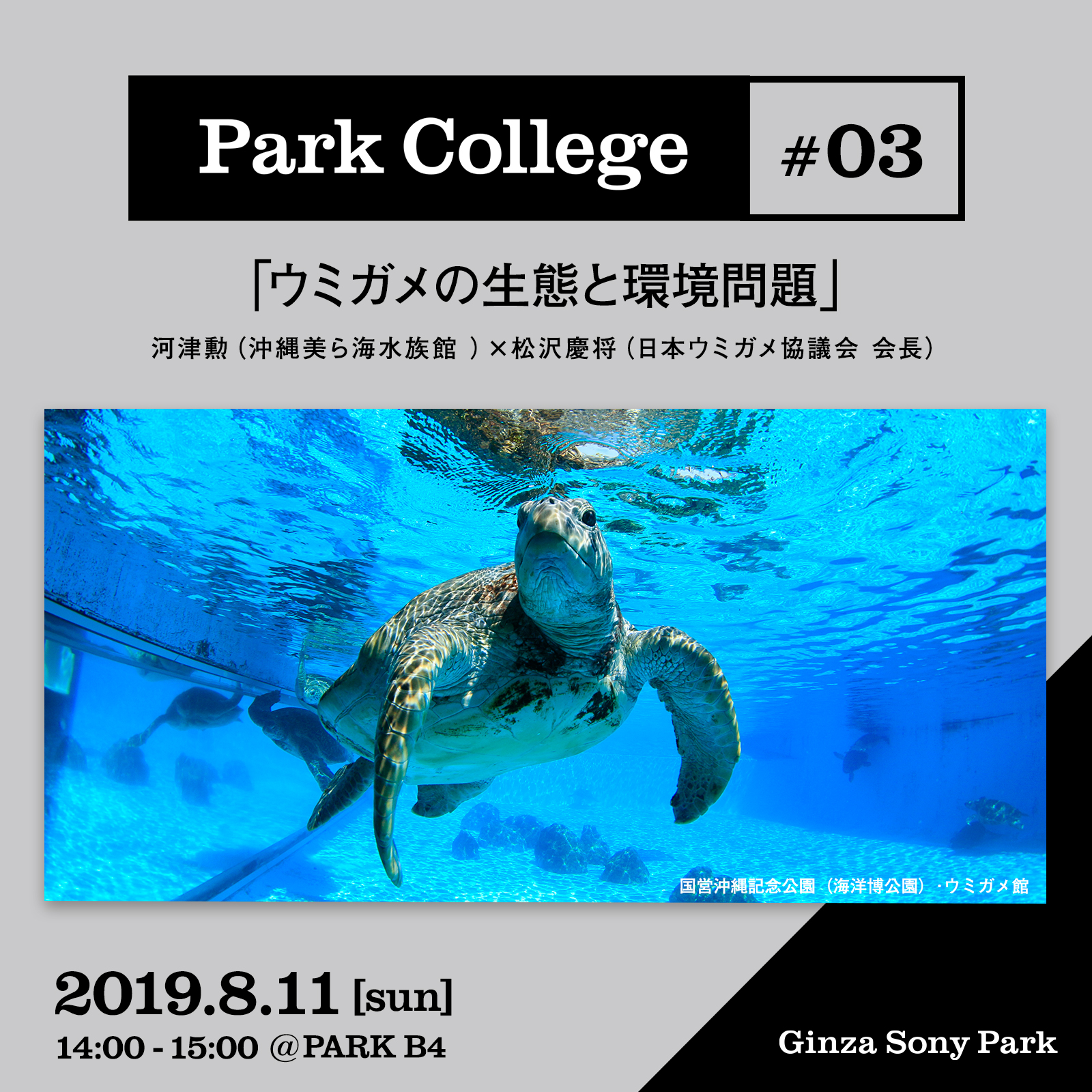 Park College #03 / 「ウミガメの生態と環境問題」 / 河津勲（沖縄美ら海水族館）×松沢慶将（日本ウミガメ協議会 会長）/ 2019.8.11[sun] 14:00 - 15:00 @PARK B4 / Ginza Sony Park