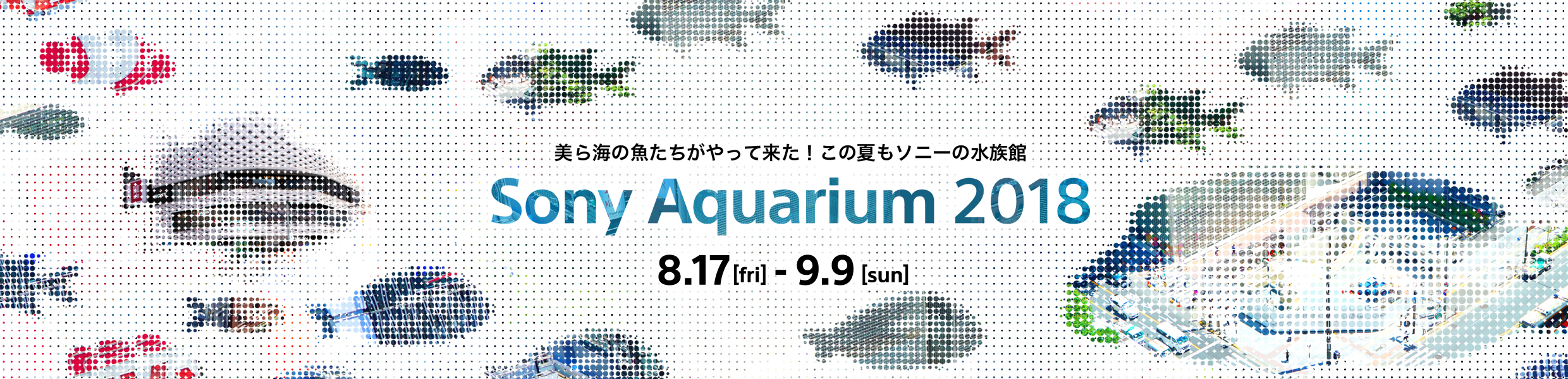 美ら海の魚たちがたってきた！この夏もソニーの水族館 Sony Aquarium 2018 8.17[fri] - 9.9[sun]