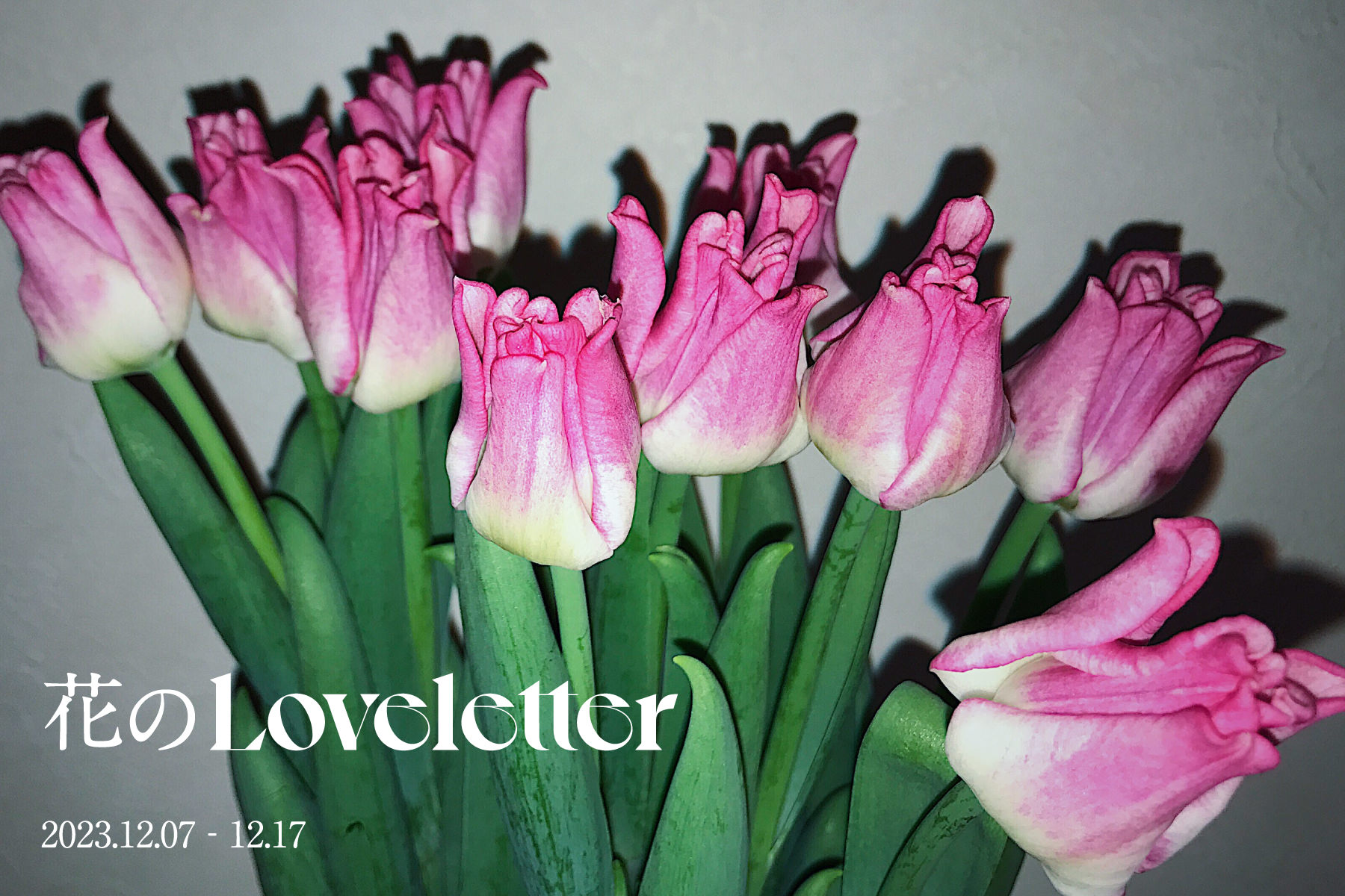 Flower Loveletter Announcement Visual